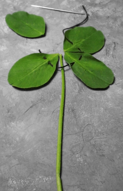 Manufacturing_luck__by_Are_ka